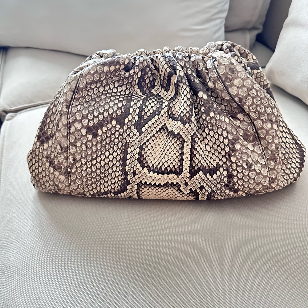 Bottega Veneta Python Pouch